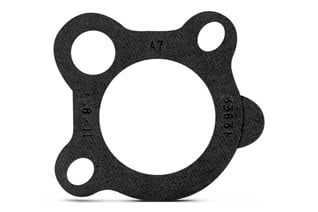 Thermostat and Gasket