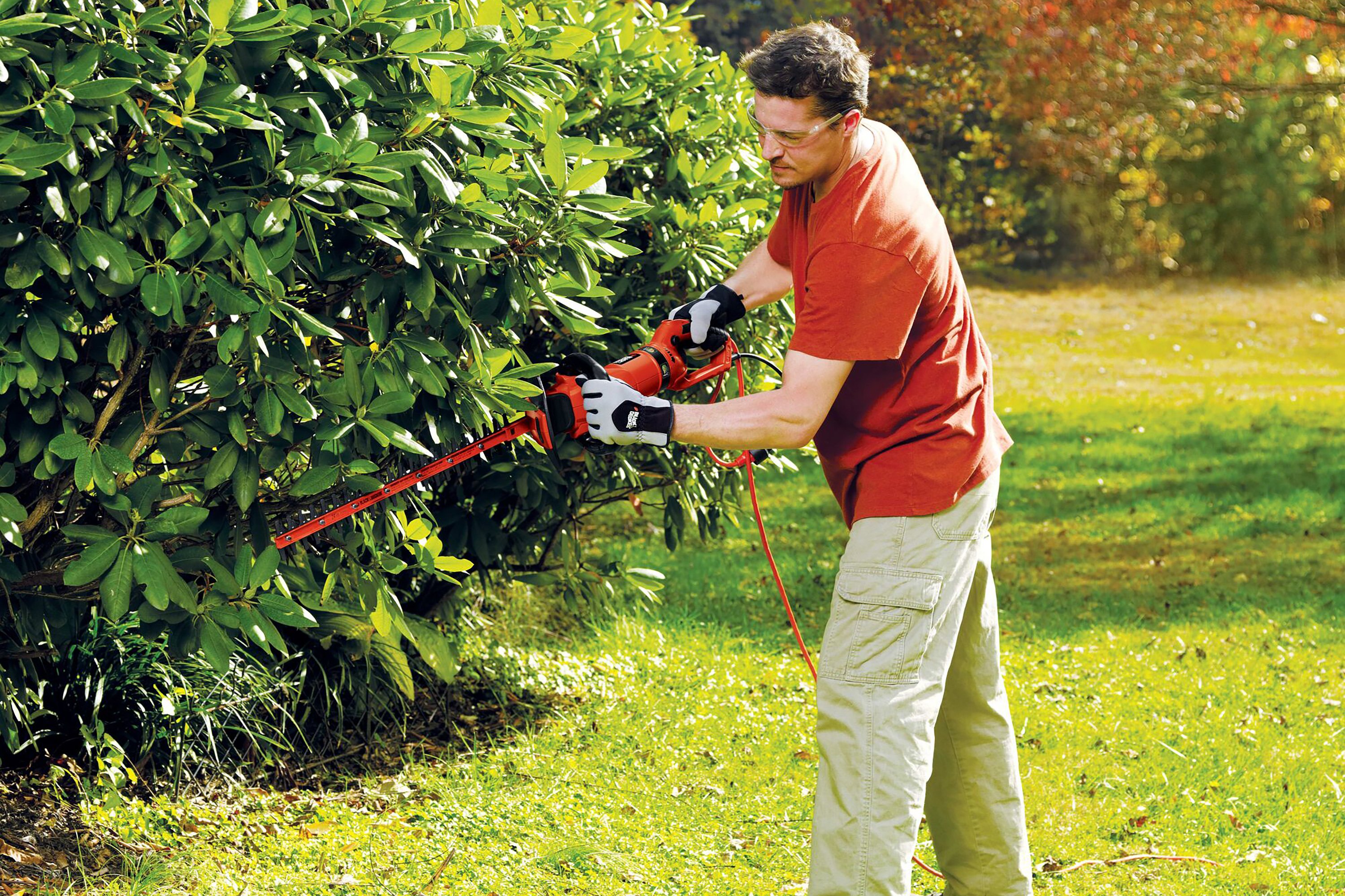 Black+Decker HH2455 Hedge Trimmer Review - Consumer Reports