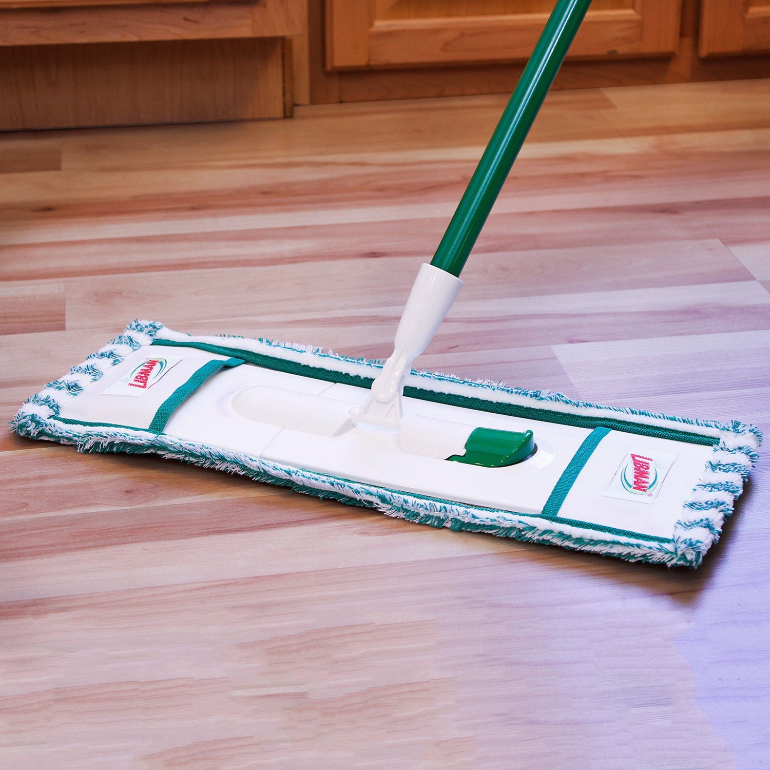 dry floor mop