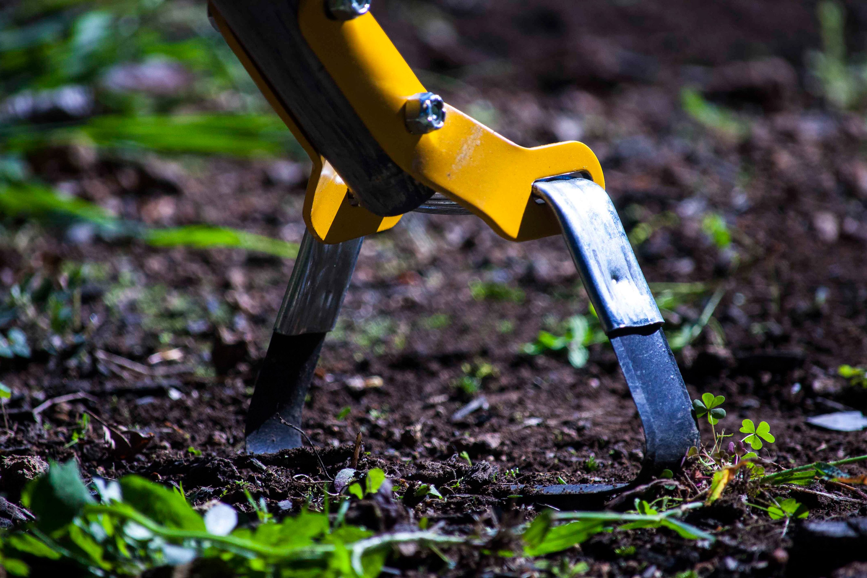 AMES® 2866300 True Temper™ Action Hoe with 54" Wood Handle